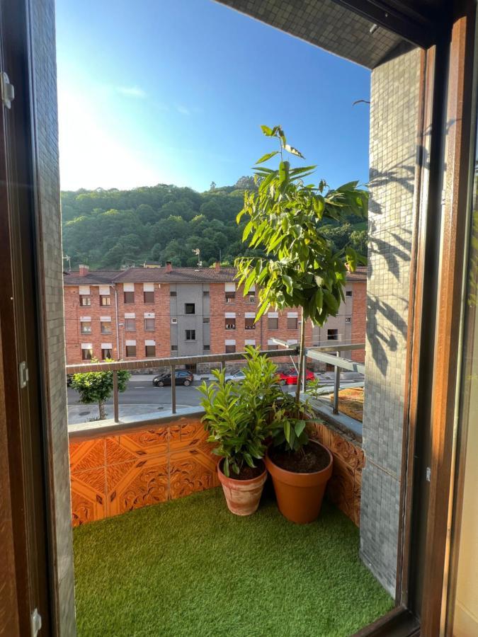 Mountain View Apartment ミエレス エクステリア 写真