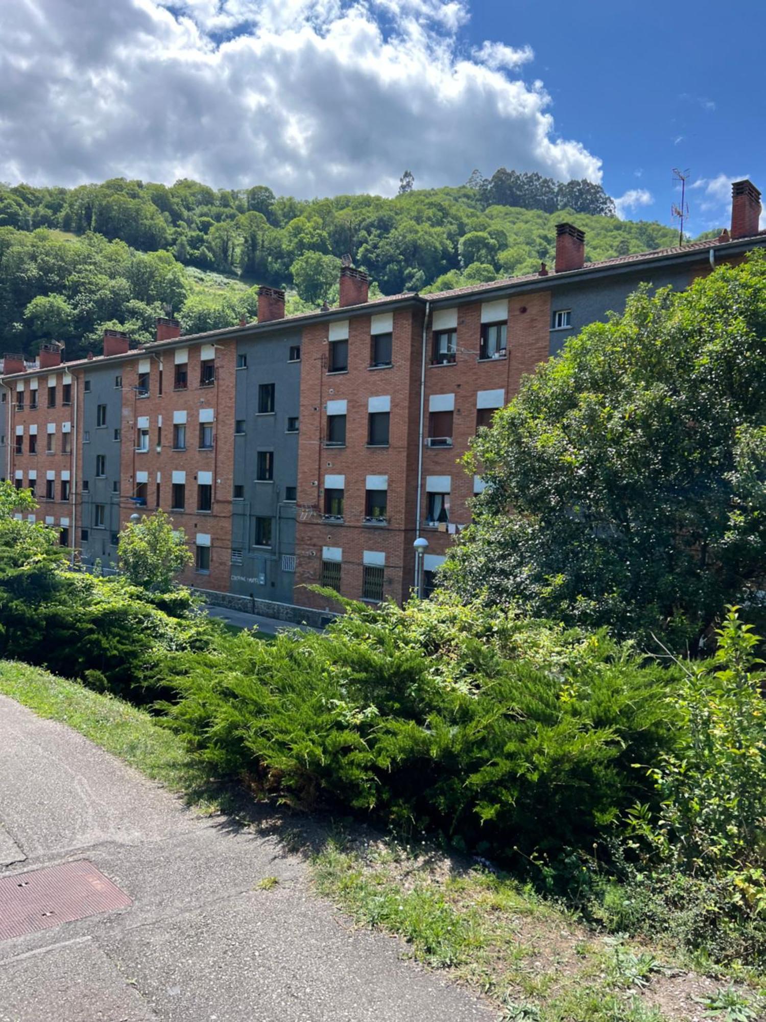 Mountain View Apartment ミエレス エクステリア 写真