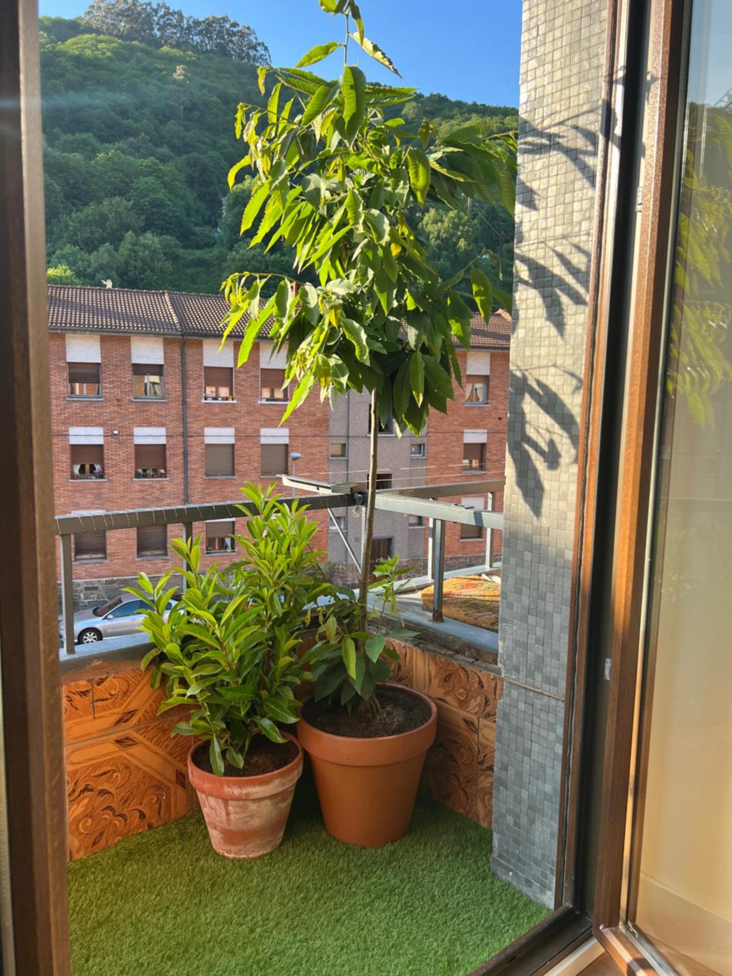 Mountain View Apartment ミエレス エクステリア 写真